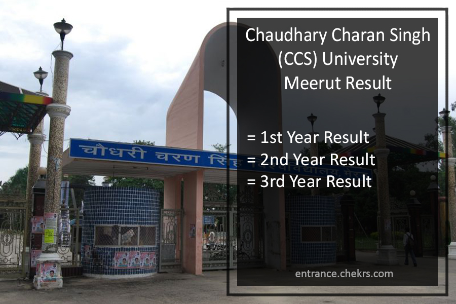 CCS University Result 2023