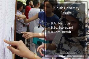 Punjab University Result 2024