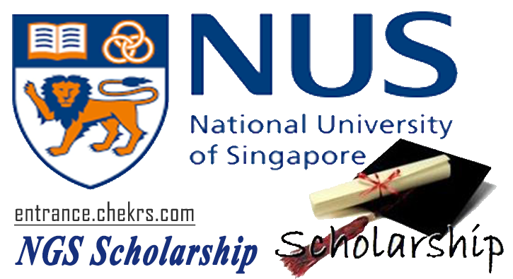 ngs scholarship 2025 interview