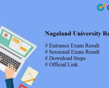 Nagaland University Result 2024 Entrance Sessional UG PG Results Download